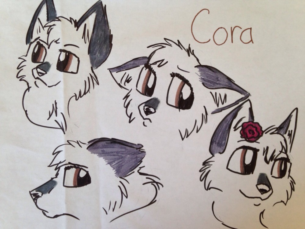 Cora