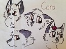 Cora
