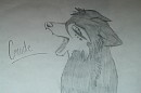 Geode is...
