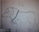 Riley