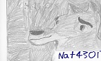 nat43017