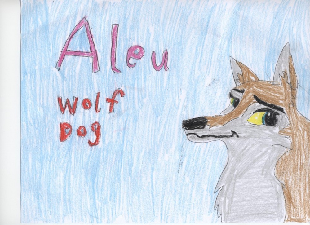 Aleu, Wolf Dog