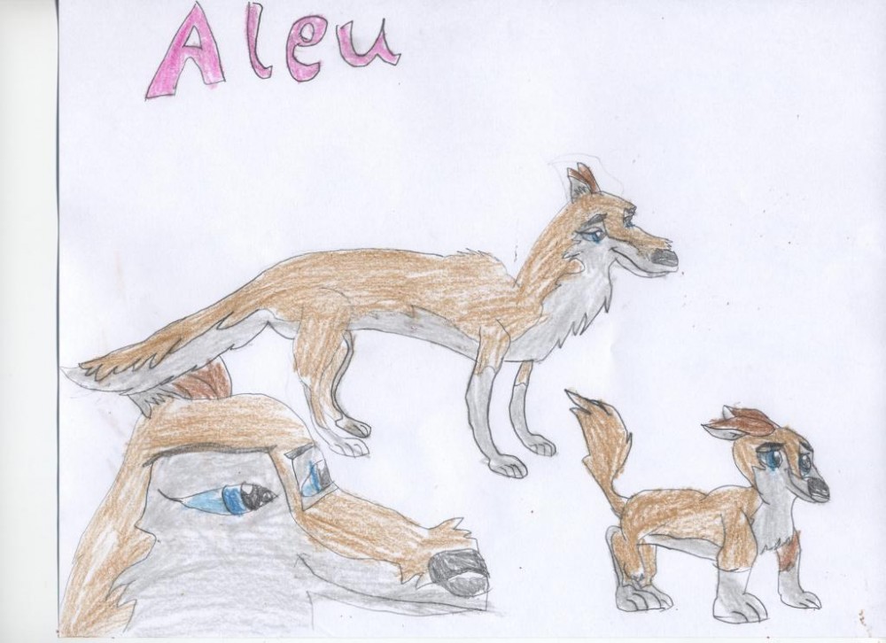 Aleu