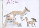 Aleu