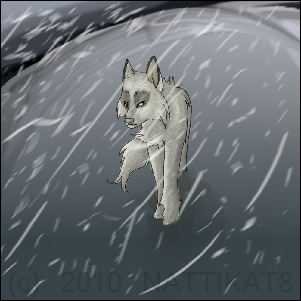 Storm