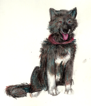 Waxy Balto