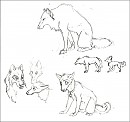 Yayyy, Concepts