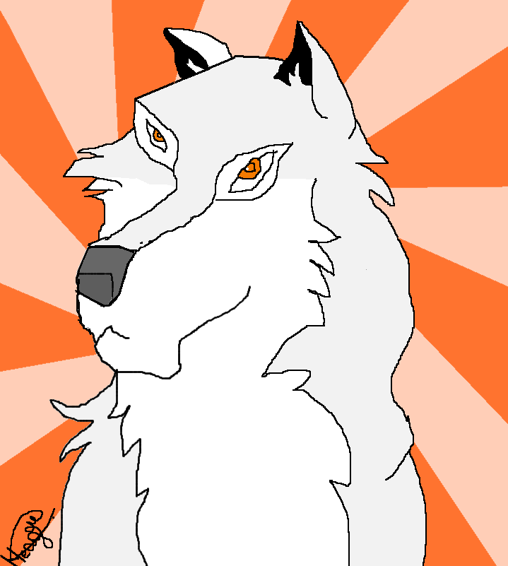 Aniu
