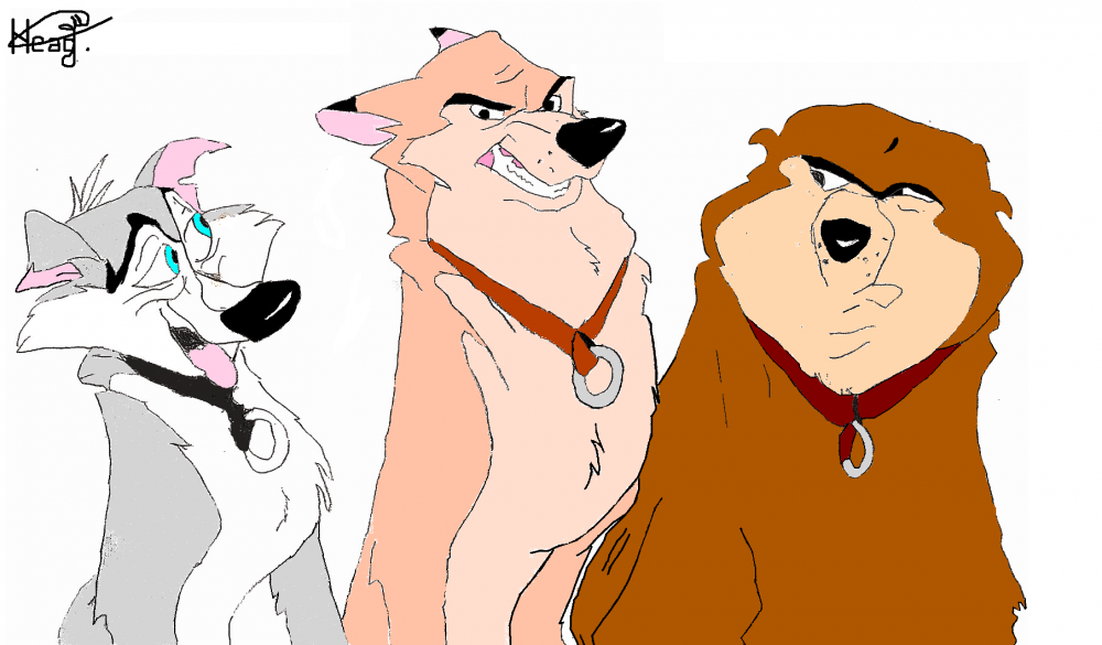 Kaltag, Nikki and Star