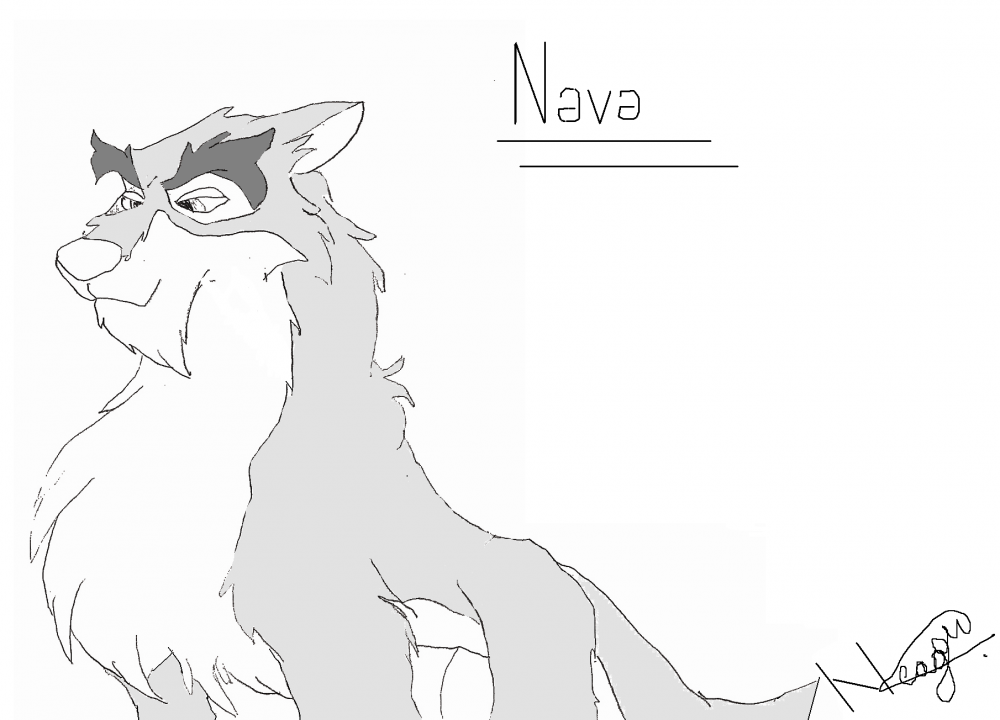 Nava