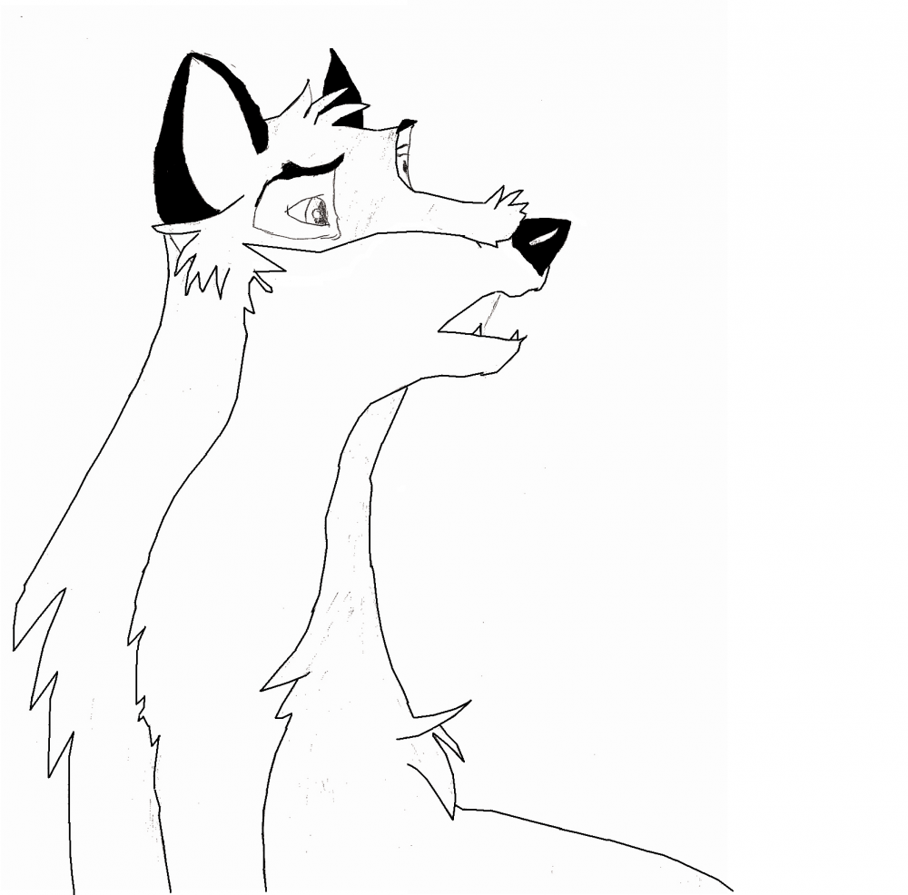 Balto