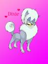 Dixie