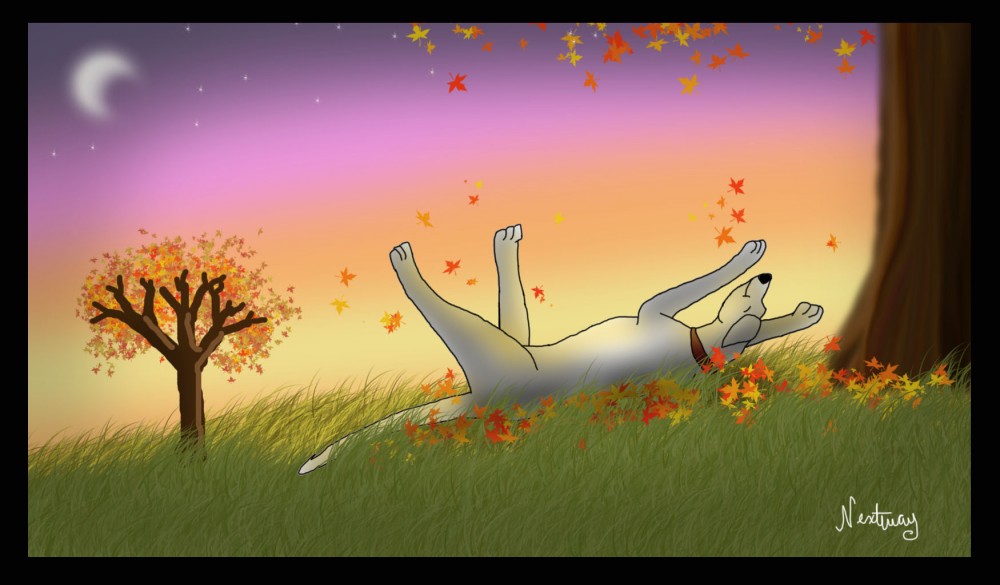 Autumn