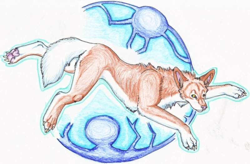 a random wolf