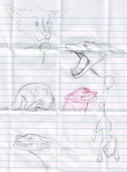 doodles boodles