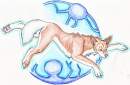 a random wolf