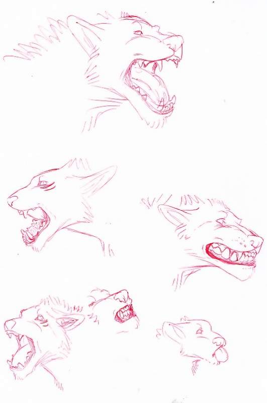 Kirada Doodles!