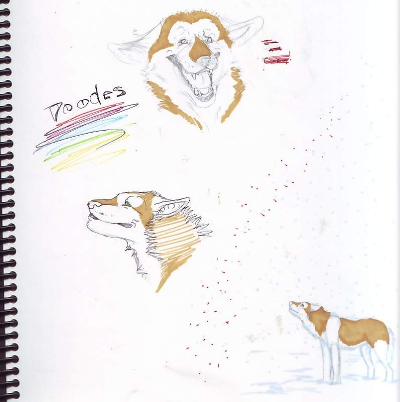 Doodles^^