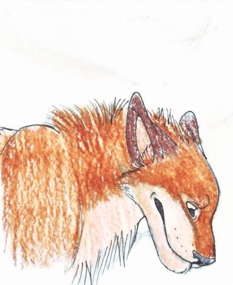 Balto!