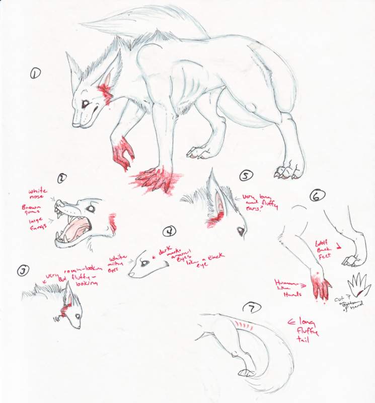The Creepy Thing Ref sheet