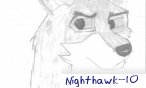 nighthawk_10