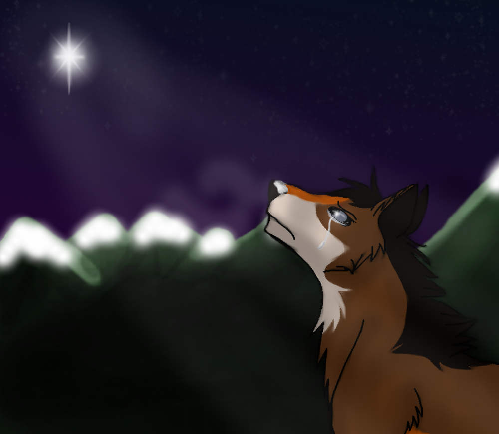 The Brightest Star In The Sky