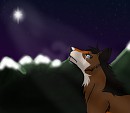 The Brightest Star In The Sky