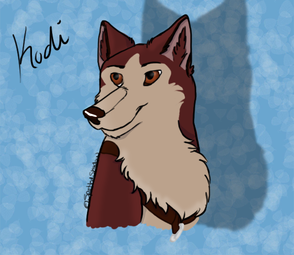 Kodi