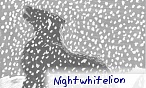 nightwhitelion