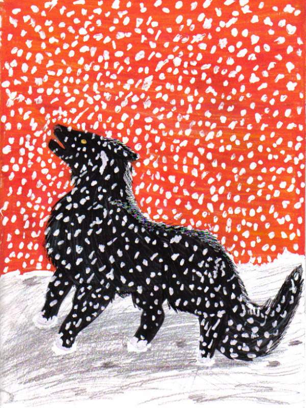 Black Wolf