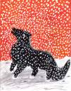 Black Wolf