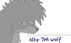 Nike Teh wolf