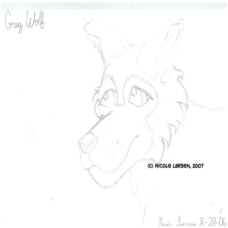 Gray Wolf
