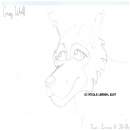 Gray Wolf