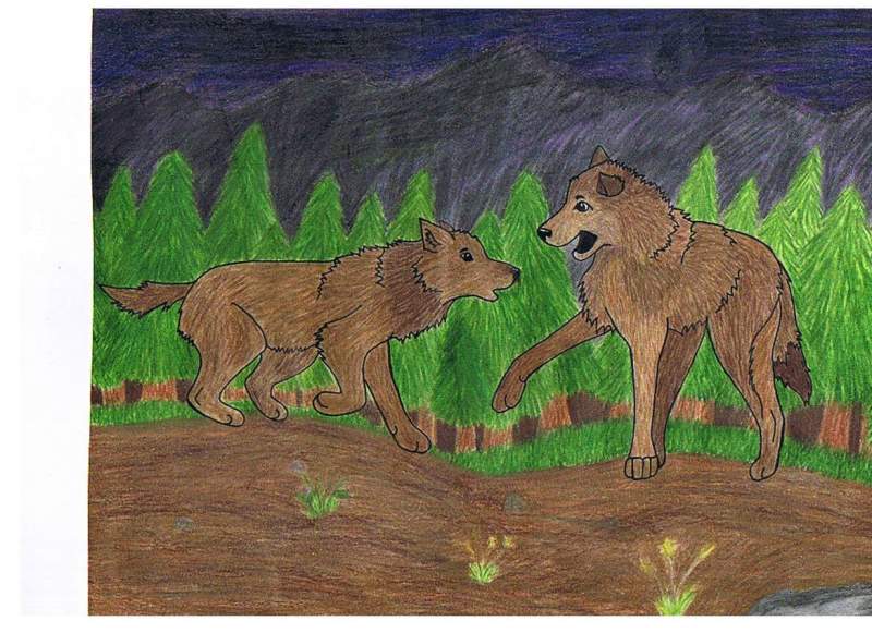 Conversation Between Wolves