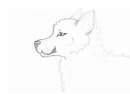 Confuzled Wolfie