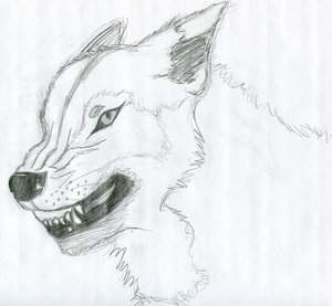 A Wolf's Anger