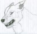 A Wolf's Anger