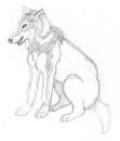 A Wolf