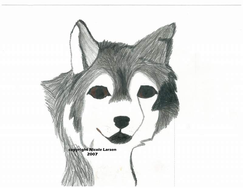 Balto