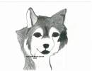 Balto