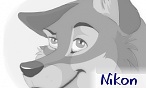 Nikon