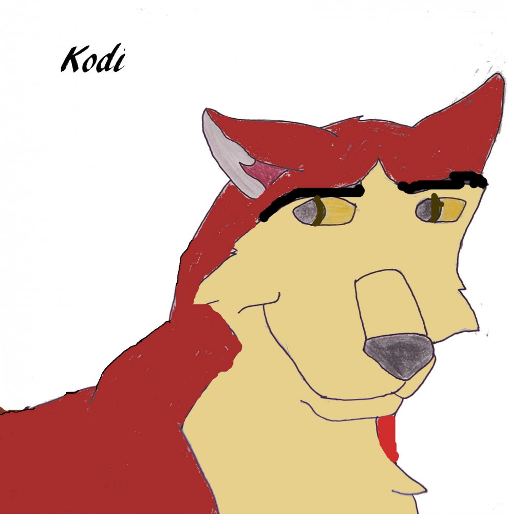 Collab: Balto Jersey Captain version 