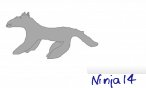ninja14