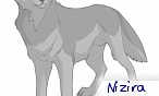 nizira