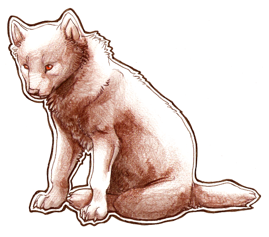 young Kanashii