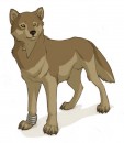 Toboe