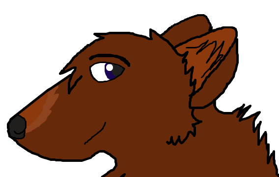 Random Doodle