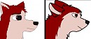 The two Kodi's