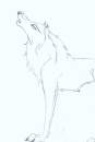 White wolf Aniyu